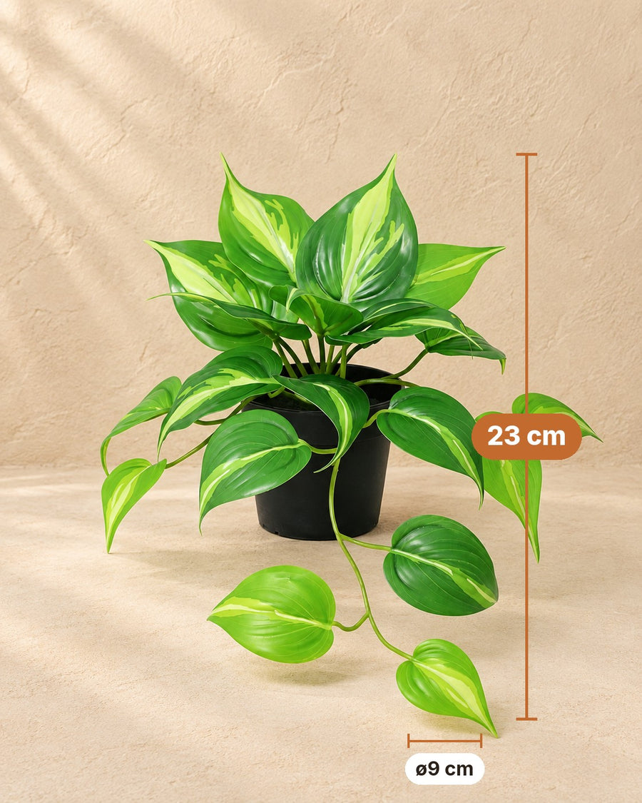 Epipremnum Variegata artificial 23cm - ø9