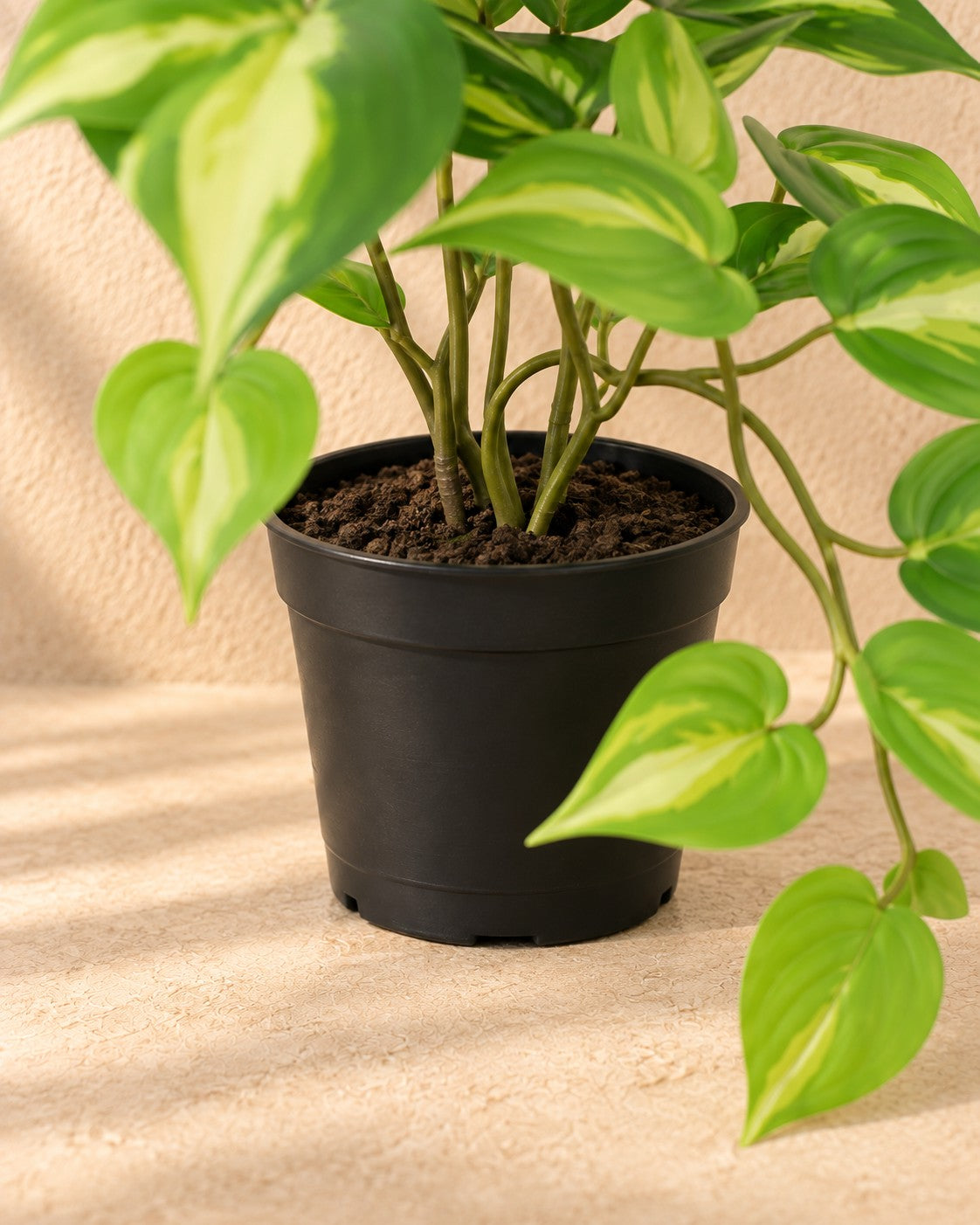 Unterer Teil der Kunstpflanze Epipremnum Variegata (Epipremnum aureum) mit dem Topf