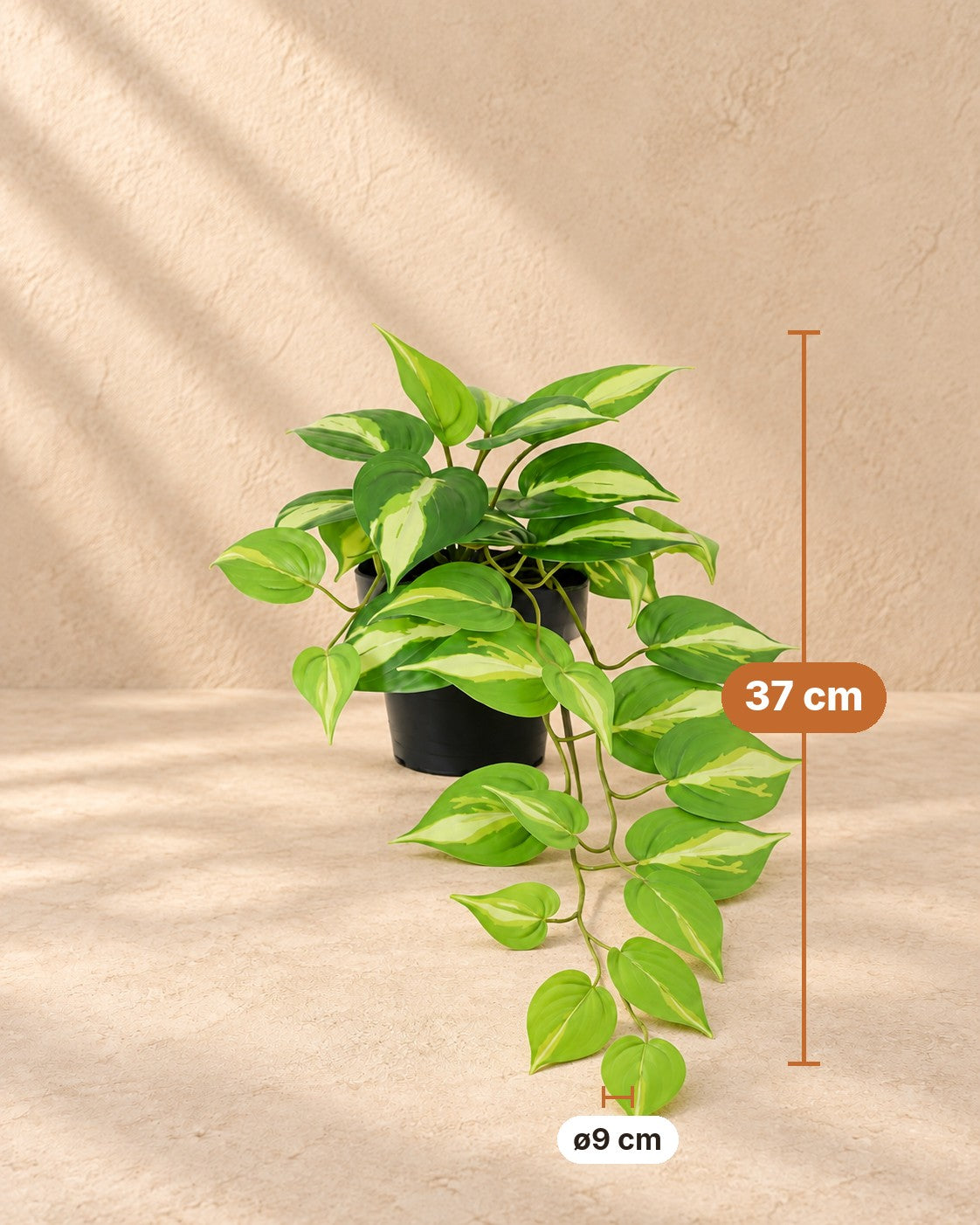 Maße Kunstpflanze Epipremnum Variegata: 37 cm hoch, Topf ø9 cm