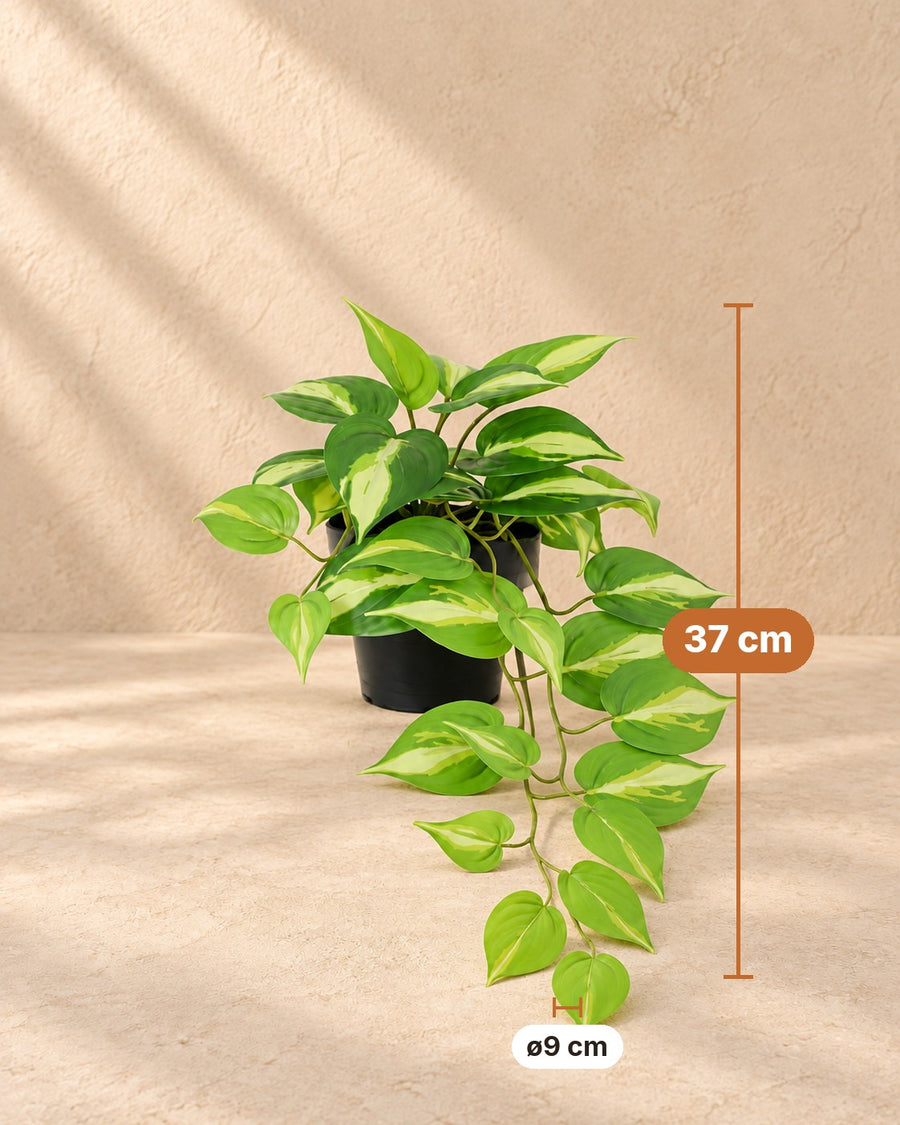 Kunstpflanze Epipremnum Variegata 37cm - ø9