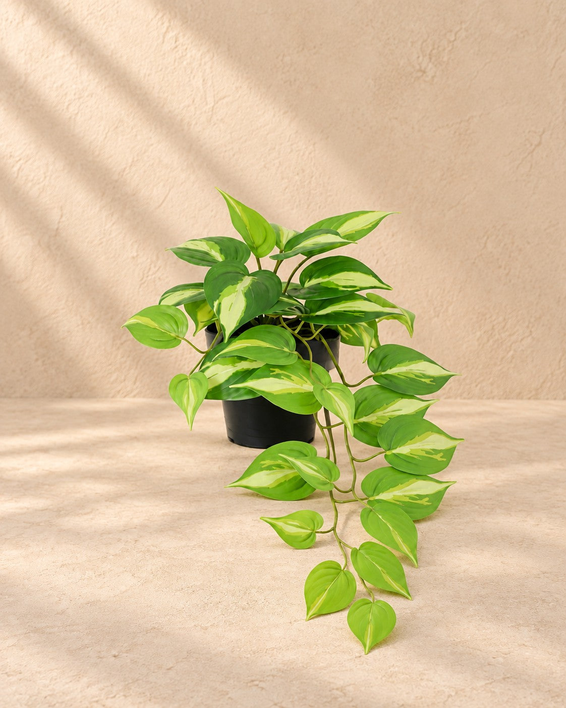 Kunstpflanze Epipremnum Variegata (Epipremnum aureum), 37 cm hoch im Topf von 9 cm