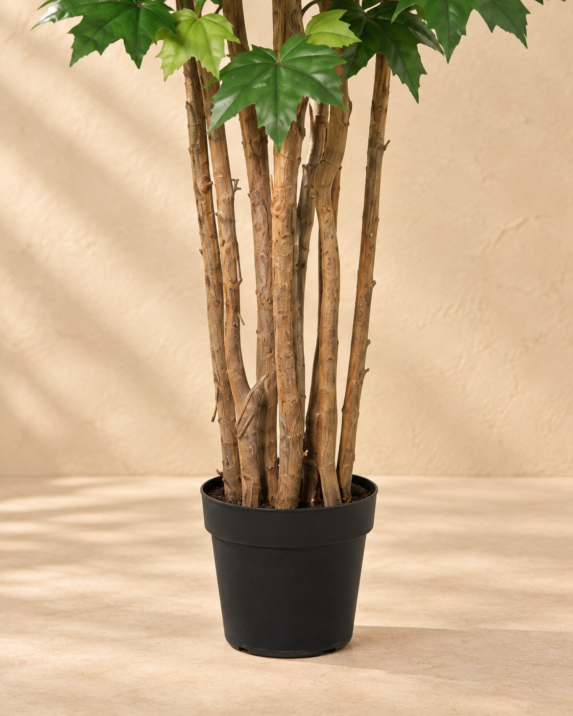 Parte bassa di Pianta artificiale Acero (Acer sp.) con il vaso