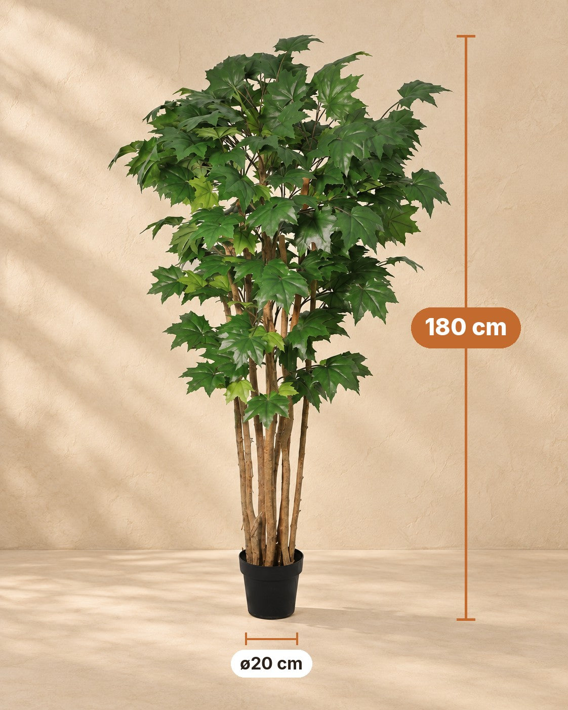 Dimensioni Pianta artificiale Acero: altezza 180 cm, vaso ø20 cm