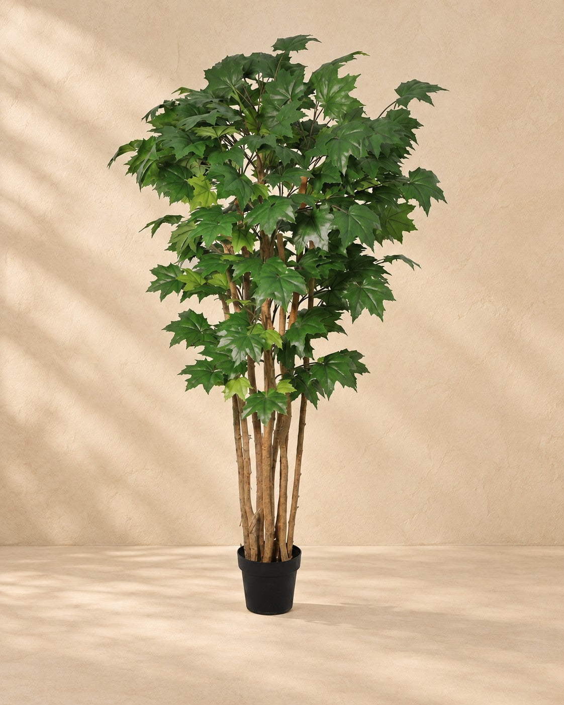 Pianta artificiale Acero (Acer sp.), alta 180 cm in vaso da 20 cm