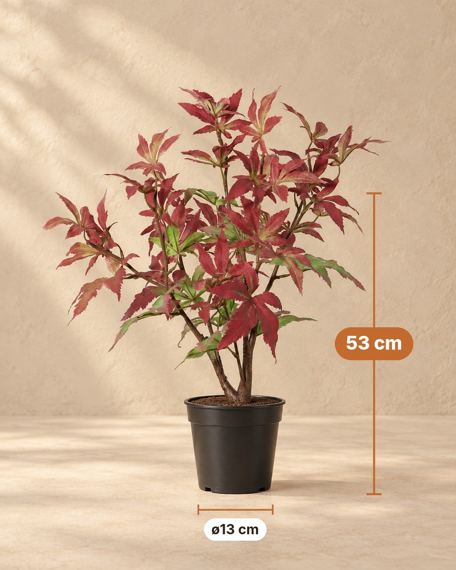 Kunstplant Esdoorn 53cm - ø13