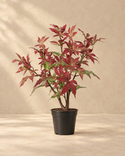 Kunstplant Esdoorn (Acer sp.) van 53 cm hoog in pot van 13 cm