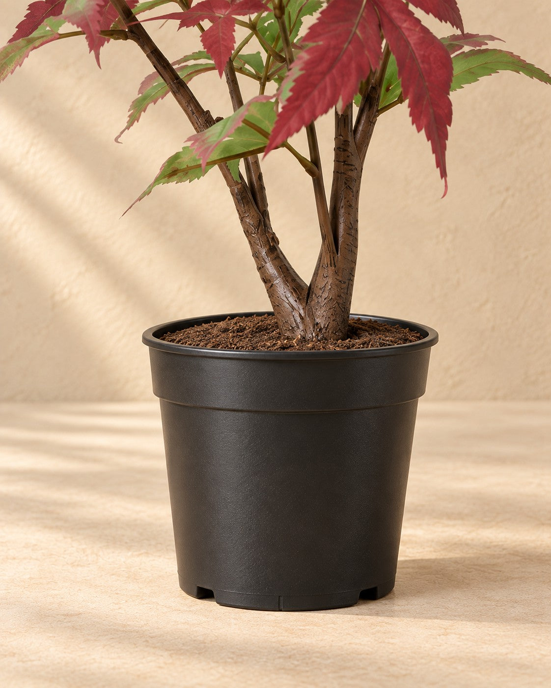 Onderste deel van de Kunstplant Esdoorn (Acer sp.) met de pot