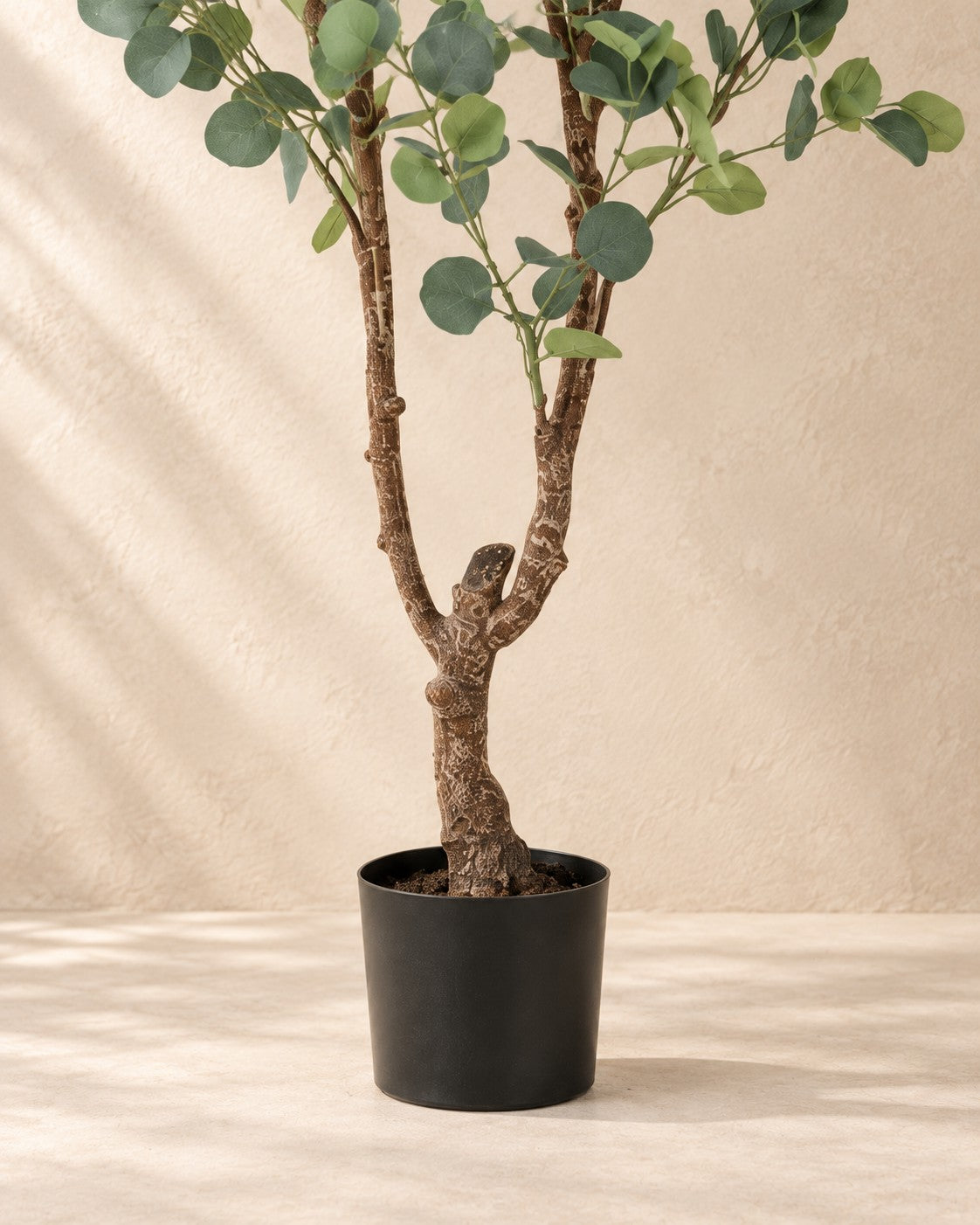 Lower part of the Artificial plant Eucalyptus (Eucalyptus globulus) with its pot