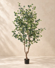 Artificial plant Eucalyptus (Eucalyptus globulus), 180 cm tall in a 17 cm pot