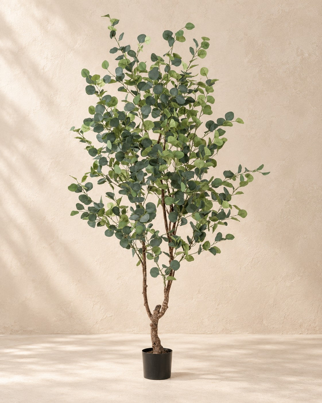 Artificial plant Eucalyptus (Eucalyptus globulus), 180 cm tall in a 17 cm pot