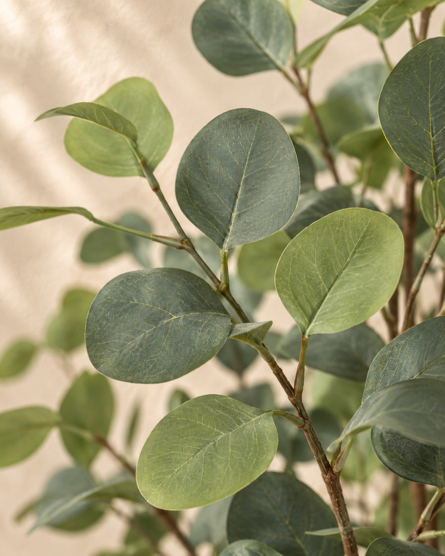 Kunstplant eucalyptus (Eucalyptus) 140 cm hoog, pot ø15 cm