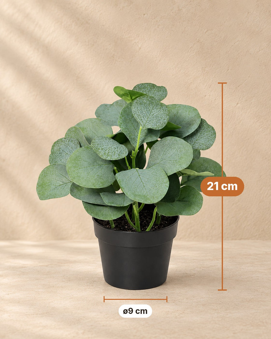 Kunstplant Eucalyptus 21cm - ø9