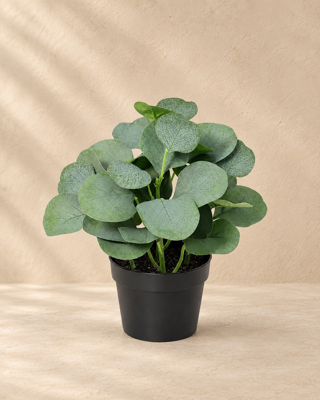 Kunstplant Eucalyptus (Eucalyptus sp.) van 21 cm hoog in pot van 9 cm