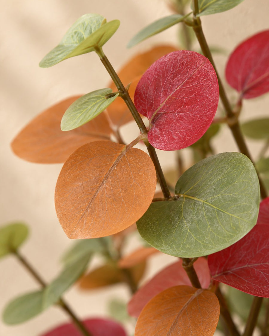 Kunstplant Eucalyptus gekleurd 120cm - ø18
