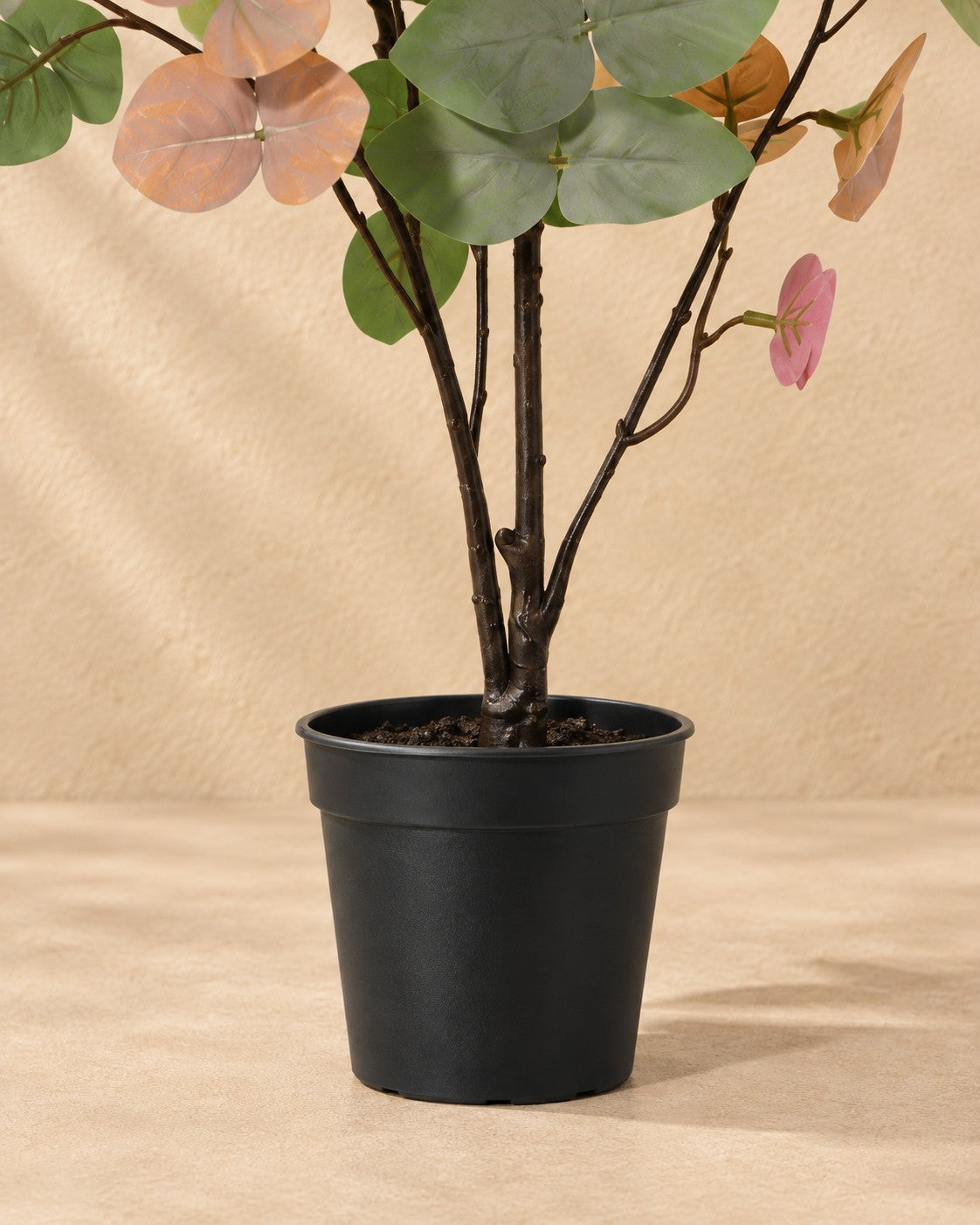 Parte bassa di Pianta artificiale Eucalyptus colorato (Eucalyptus sp.) con il vaso