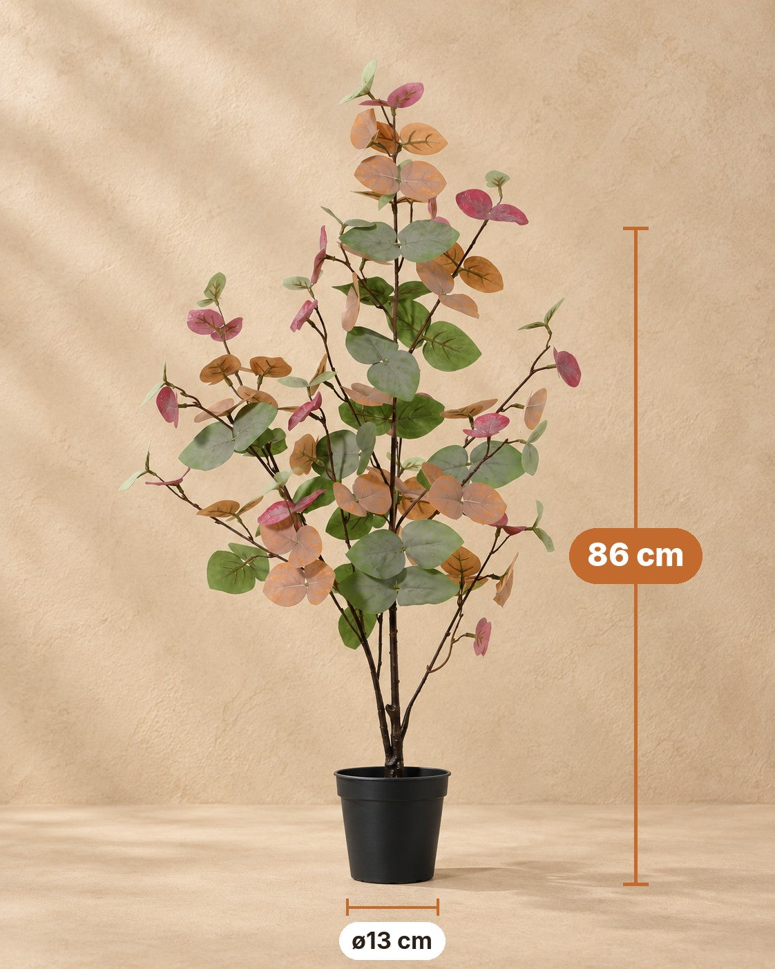 Dimensioni Pianta artificiale Eucalyptus colorato: altezza 86 cm, vaso ø13 cm