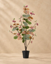 Pianta artificiale Eucalyptus colorato (Eucalyptus sp.), alta 86 cm in vaso da 13 cm