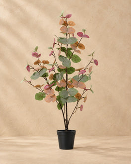 86 cm