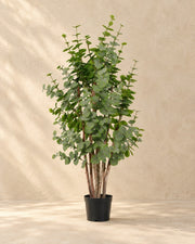 Kunstplant Eucalyptus groen (Eucalyptus sp.) van 120 cm hoog in pot van 18 cm