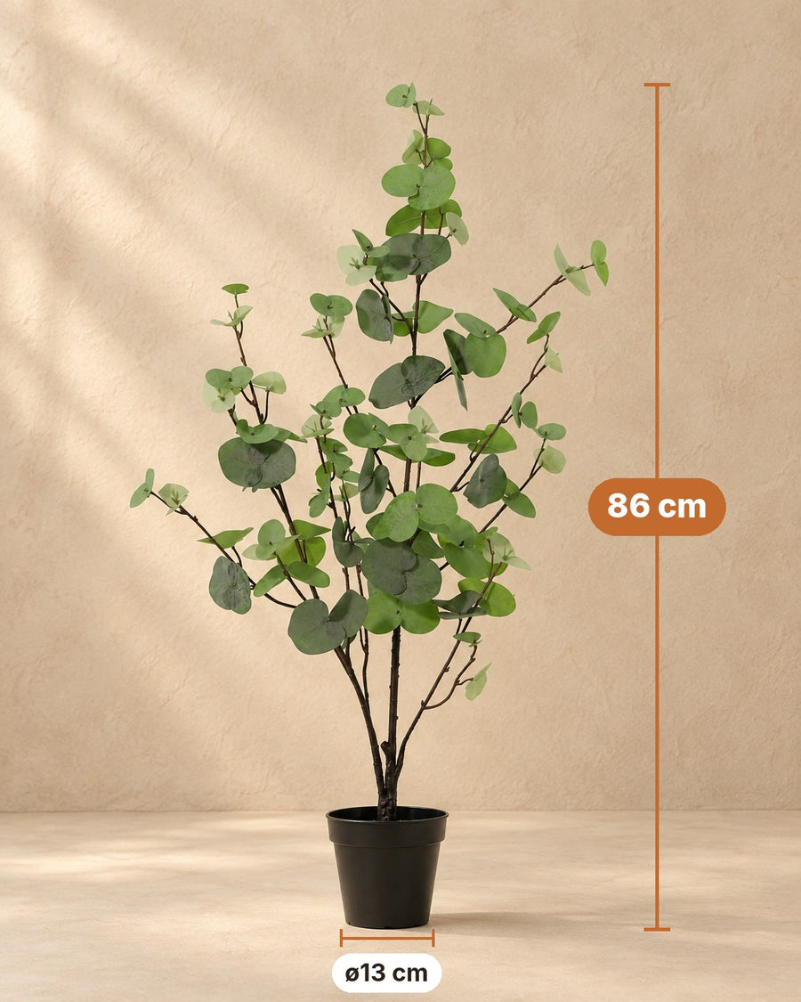 Kunstplant Eucalyptus groen 86cm - ø13