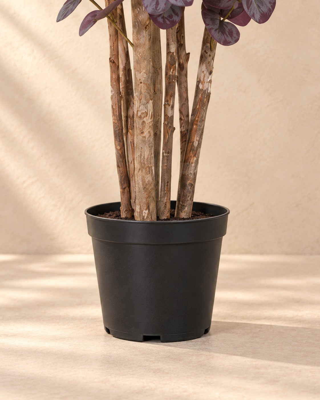 Parte bassa di Pianta artificiale Eucalyptus viola (Eucalyptus sp.) con il vaso