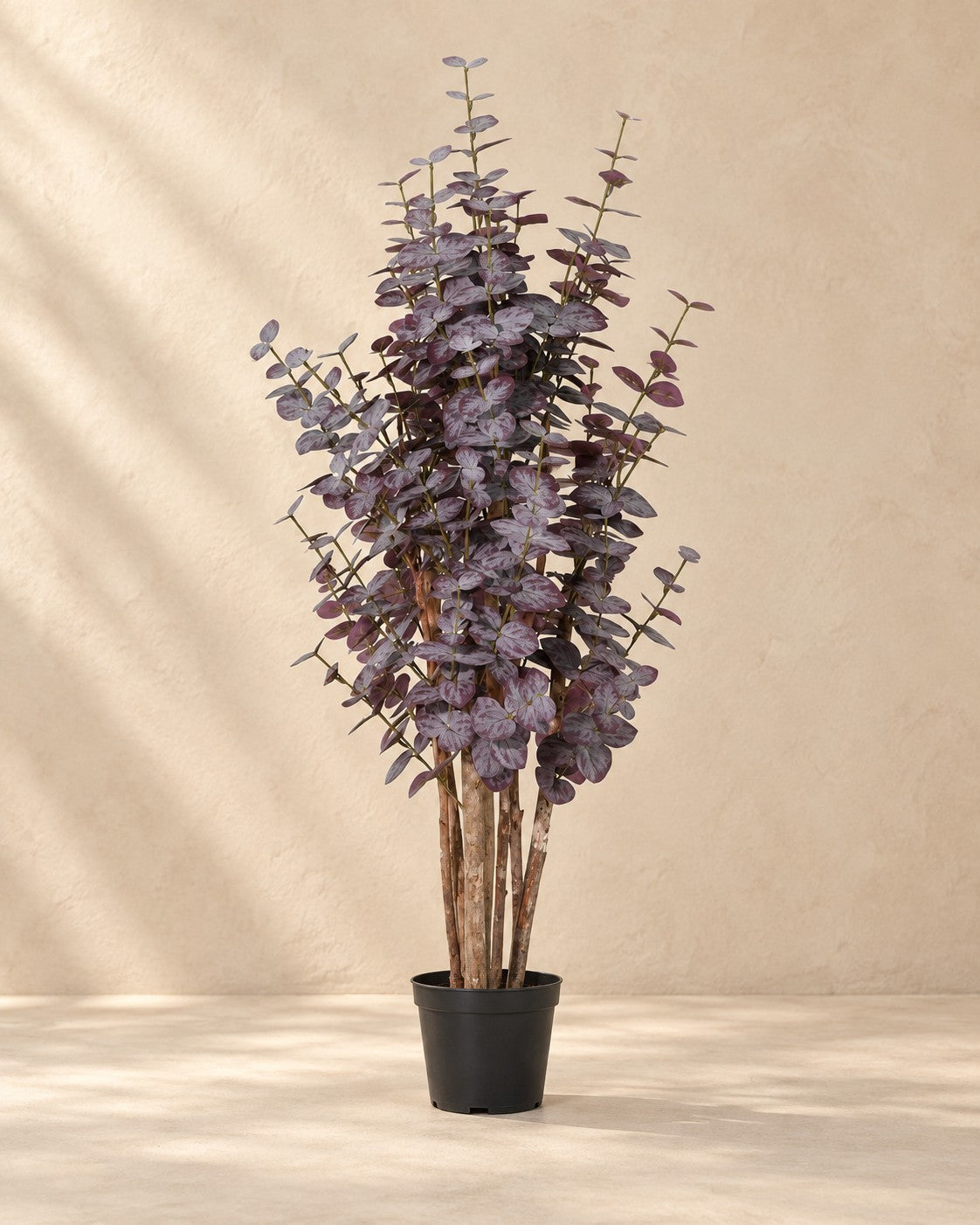 Pianta artificiale Eucalyptus viola (Eucalyptus sp.), alta 120 cm in vaso da 18 cm