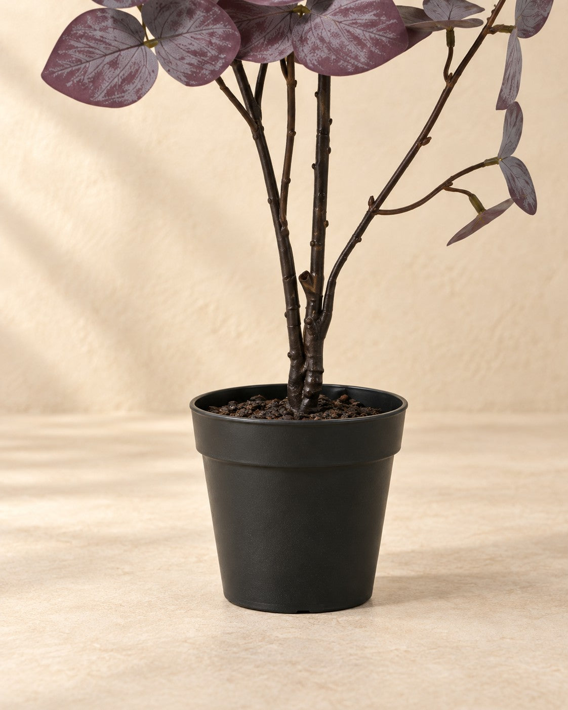 Onderste deel van de Kunstplant Eucalyptus paars (Eucalyptus sp.) met de pot