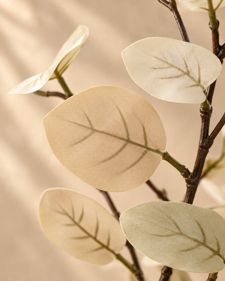 Kunstplant Eucalyptus wit 86cm - ø13