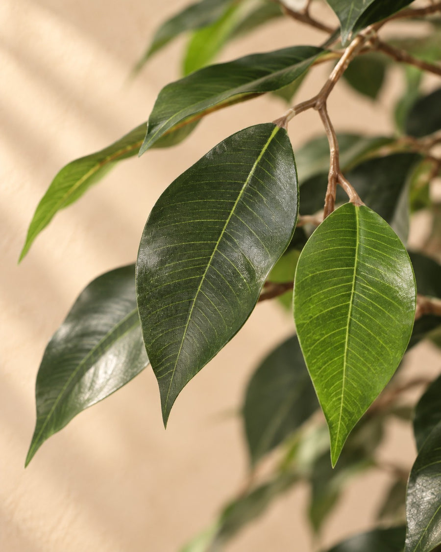 Plante artificielle Ficus Benjamina 130cm - ø18