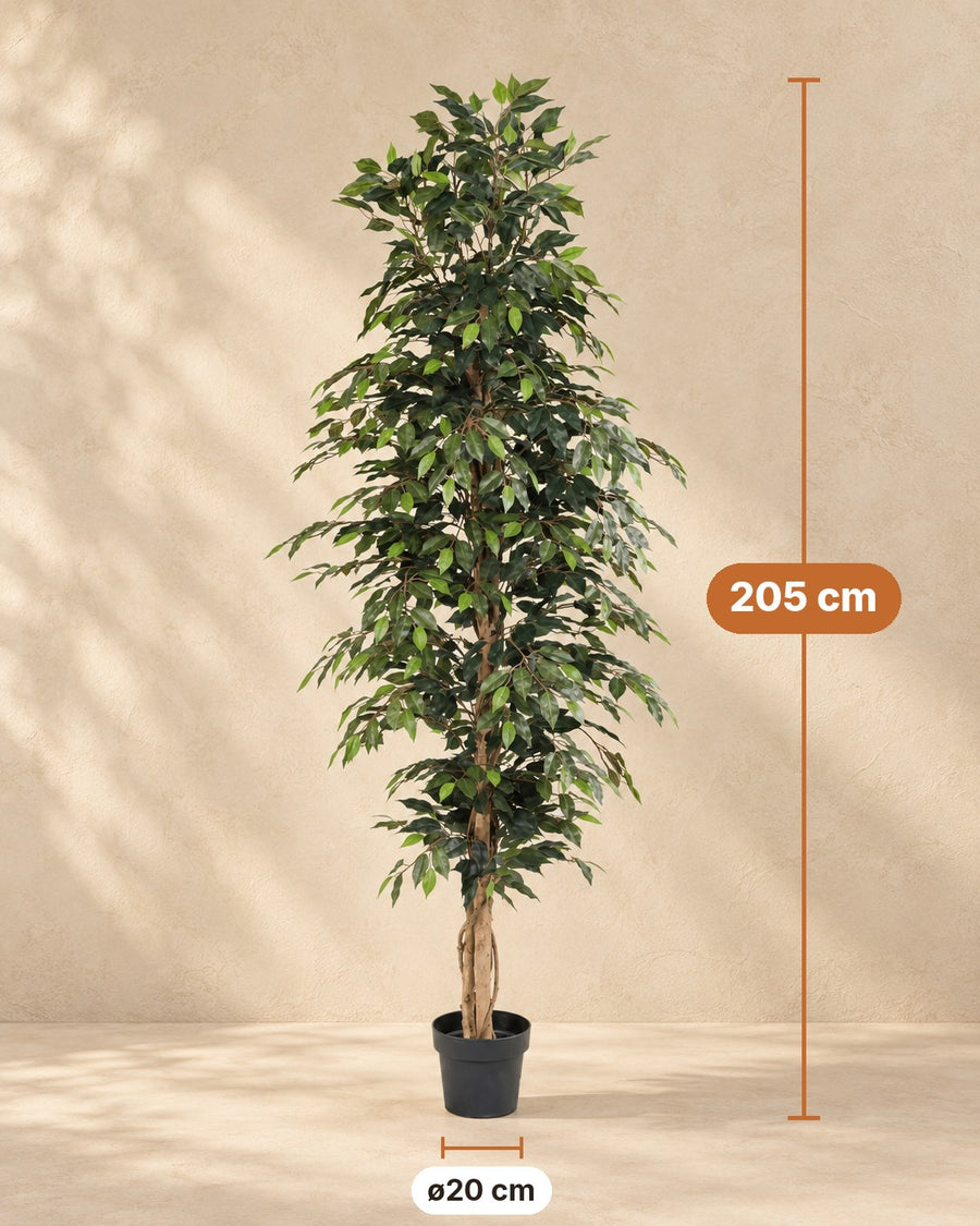 Kunstplant Ficus Benjamina 205cm - ø20