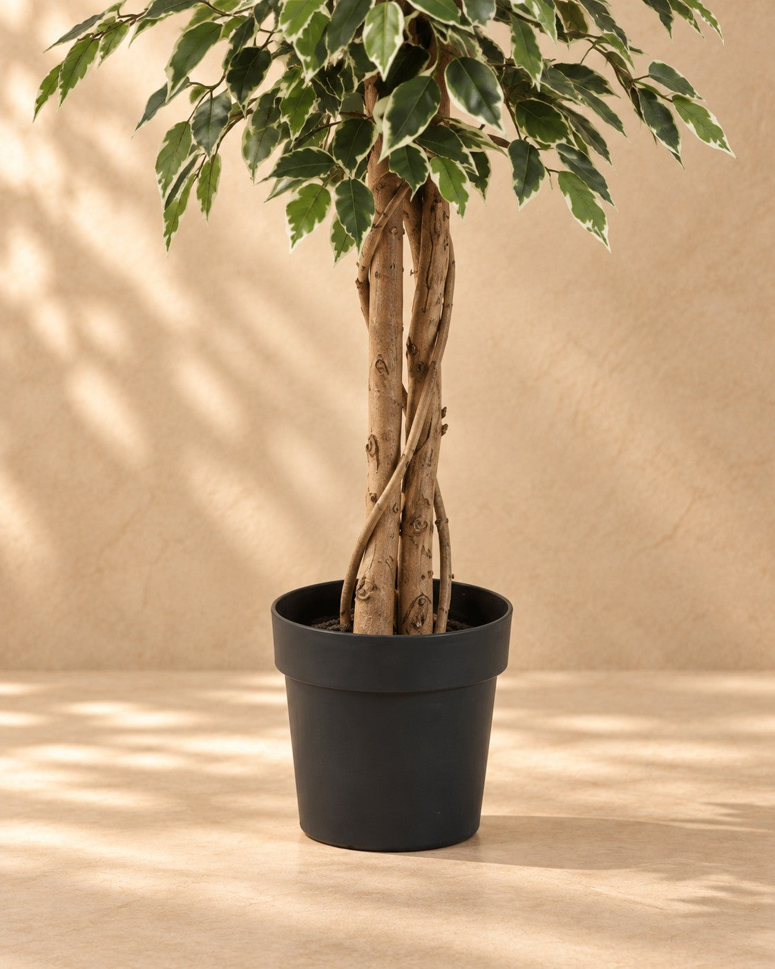 Unterer Teil der Kunstpflanze Ficus Benjamina Variegata (Ficus benjamina 'Variegata') mit dem Topf