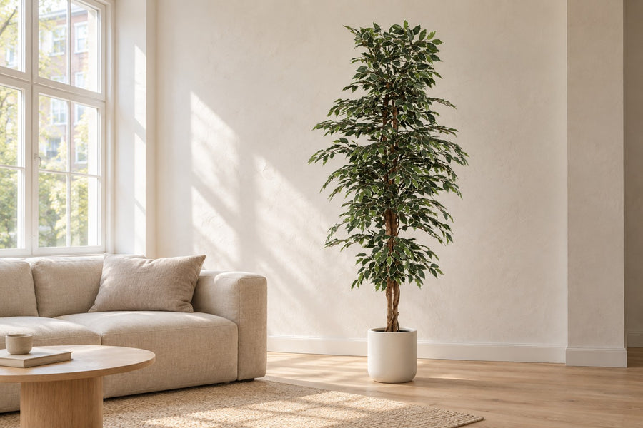 Kunstpflanze Ficus Benjamina Variegata 205cm - ø20