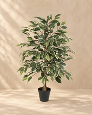 Kunstplant Ficus Benjamina Variegata (Ficus benjamina 'Variegata') van 85 cm hoog in pot van 13 cm