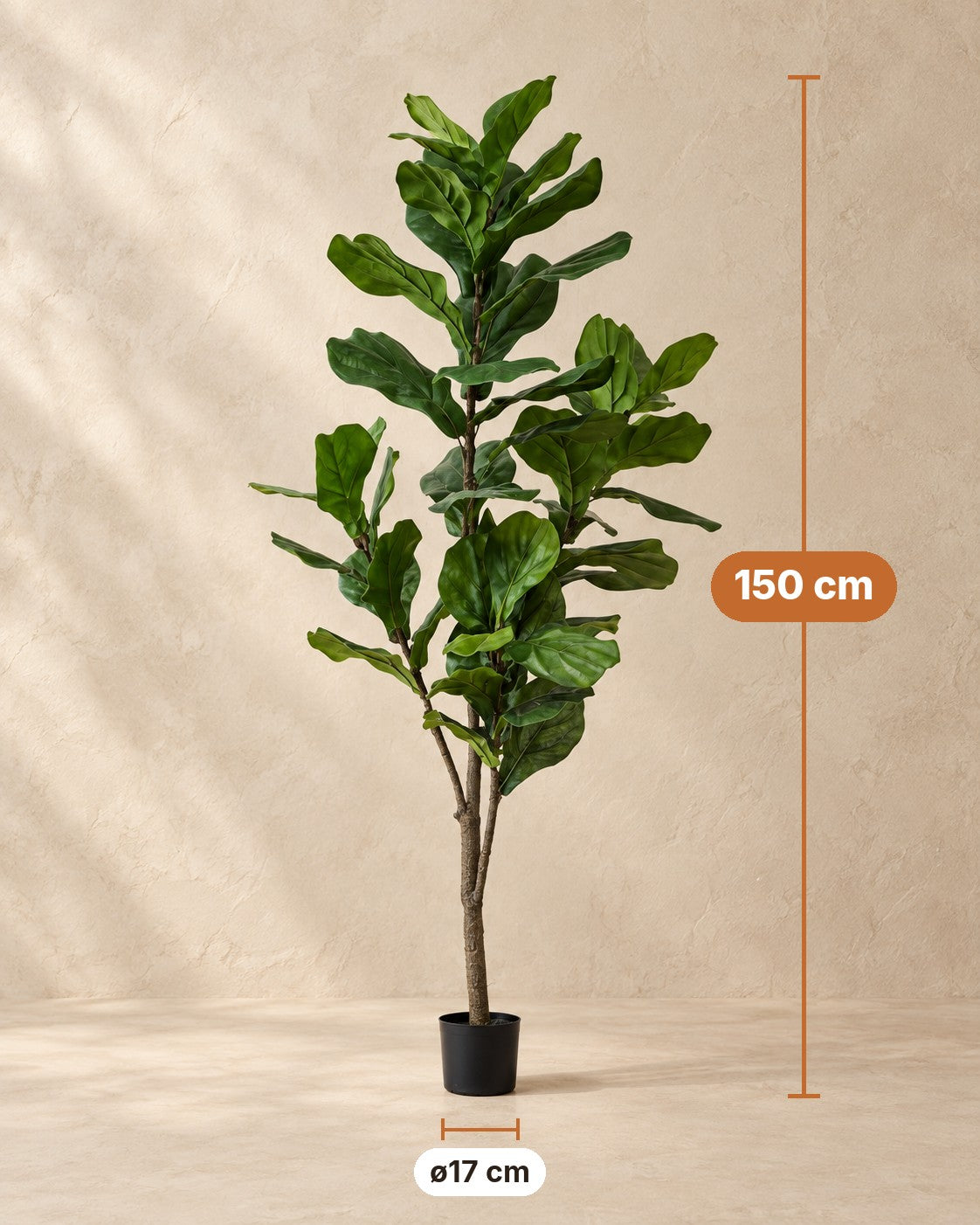Afmetingen Kunstplant Ficus lyrata: 150 cm hoog, pot ø17 cm