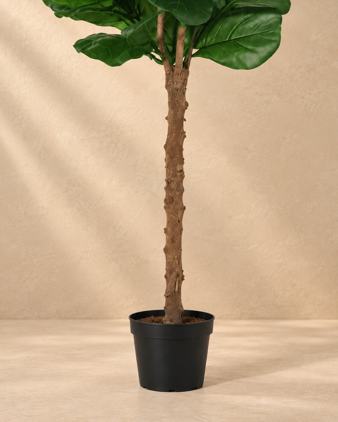 Partie basse de Plante artificielle Ficus Lyrata avec son pot
