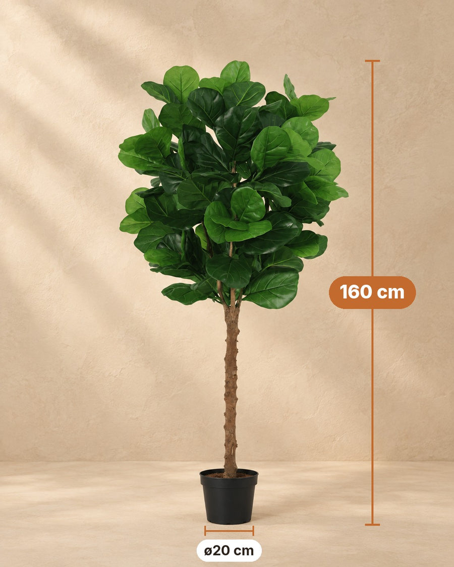Plante artificielle Ficus Lyrata 160cm - ø20