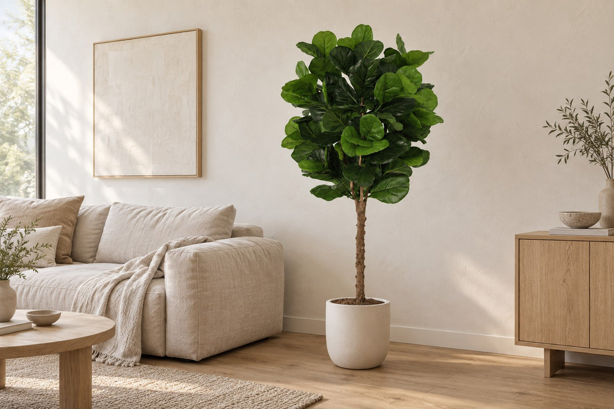 Plante artificielle Ficus Lyrata, 160 cm, dans a white ceramic planter dans un salon lumineux