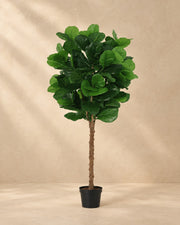 Plante artificielle Ficus Lyrata, 160 cm de haut en pot de 20 cm