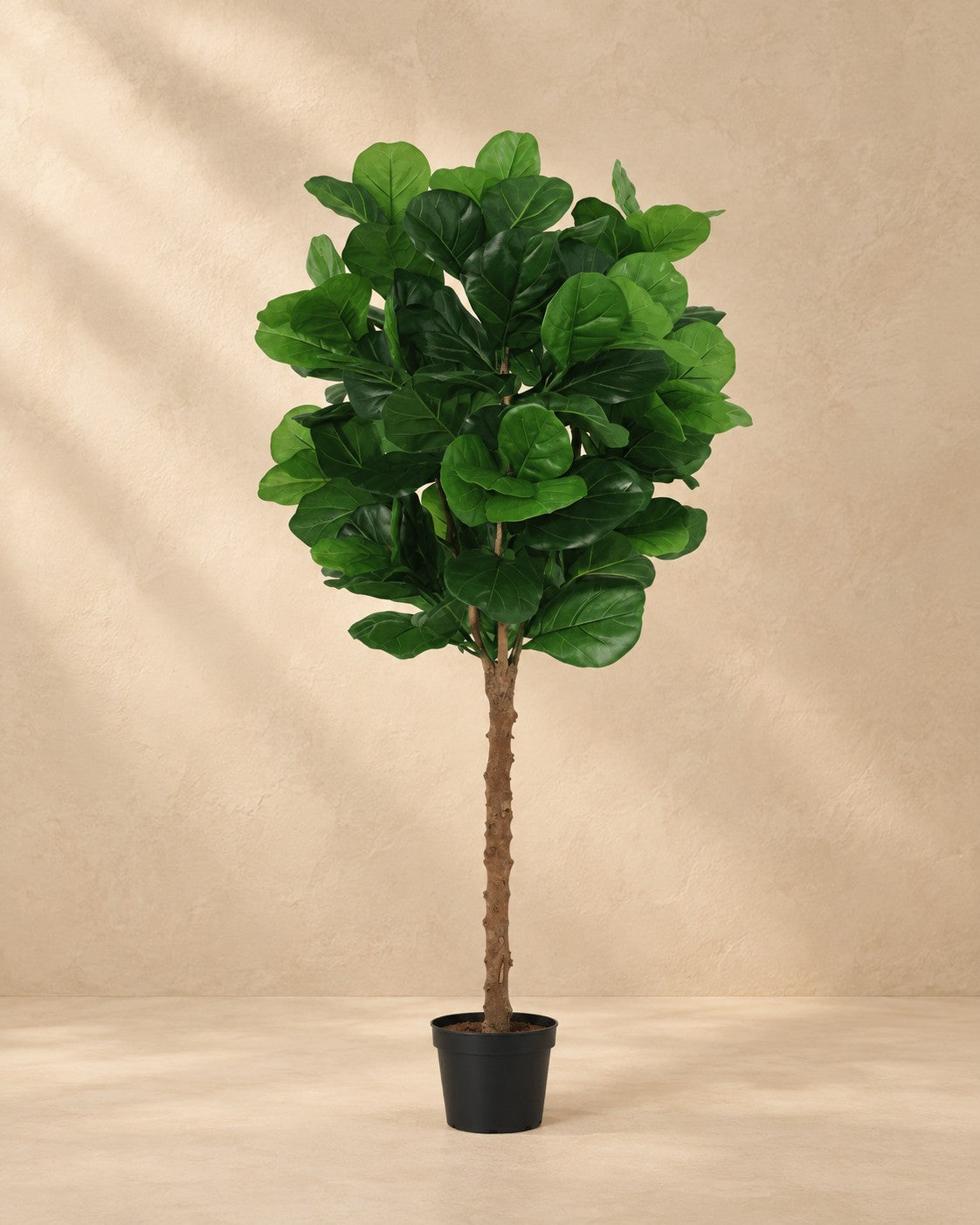 Plante artificielle Ficus Lyrata, 160 cm de haut en pot de 20 cm