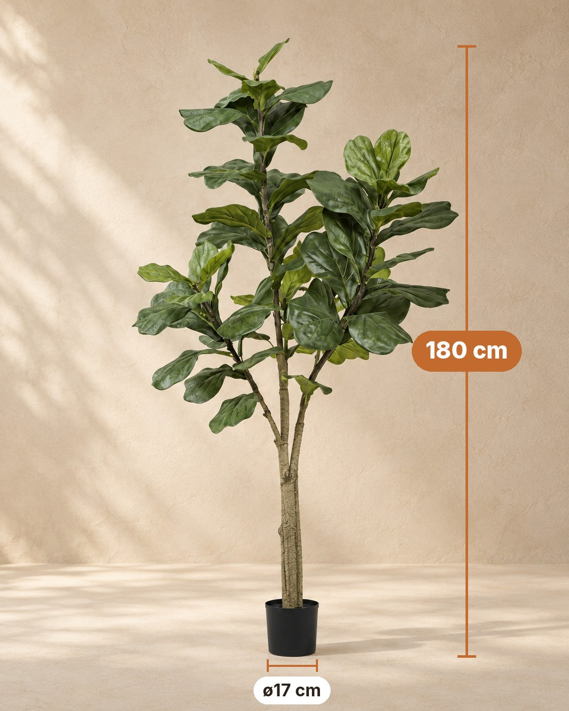 Mått Konstväxt Ficus lyrata: 180 cm hög, kruka ø17 cm