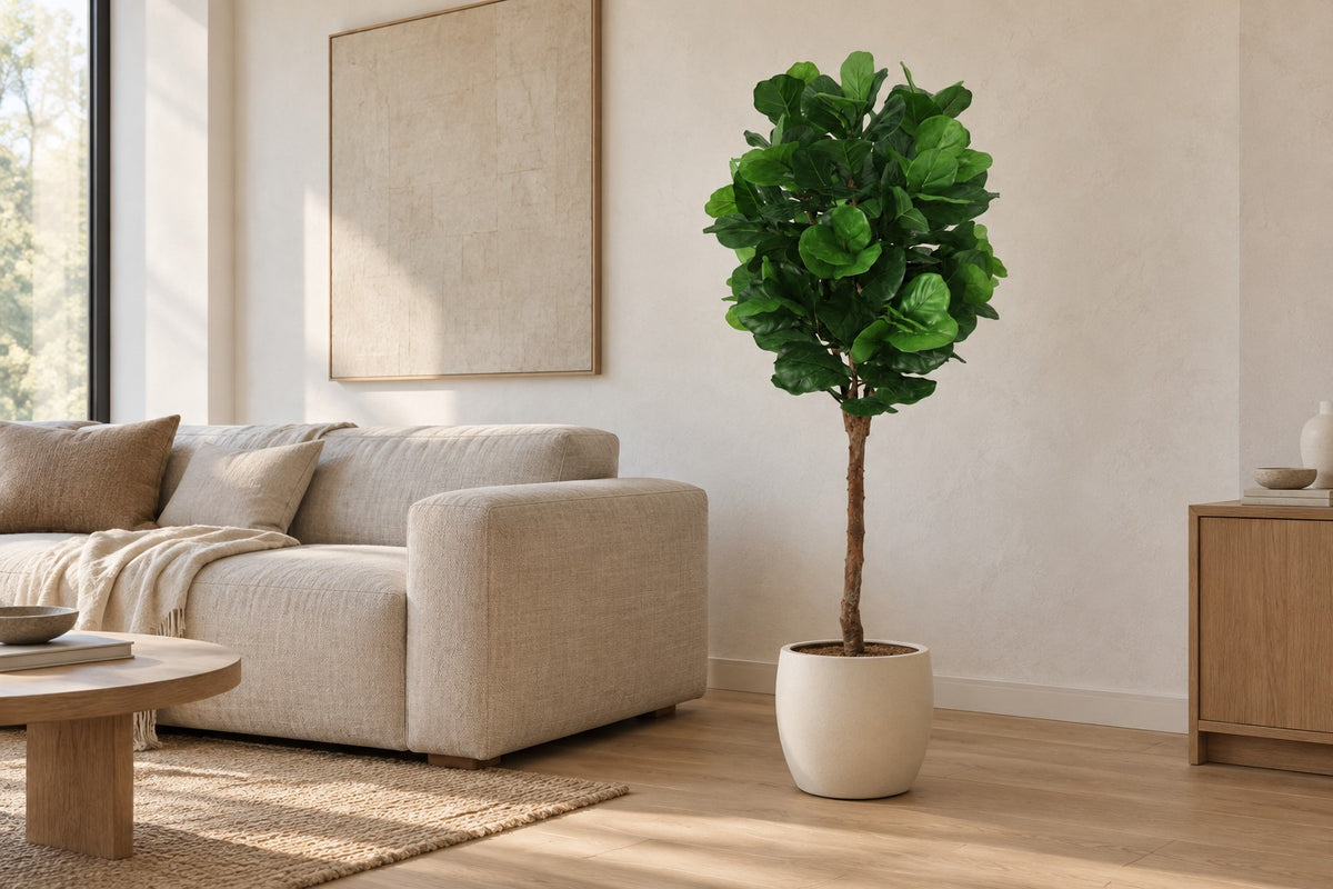 Kunstplant Ficus Lyrata van 180 cm in een witte keramische pot in een lichte woonkamer