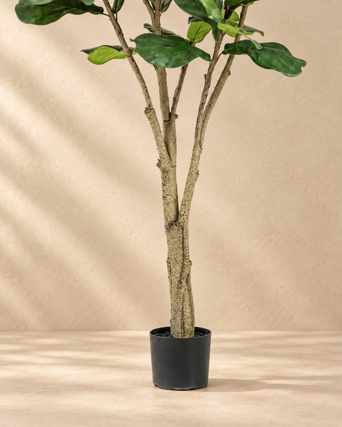 Unterer Teil der Kunstpflanze Ficus lyrata mit dem Topf