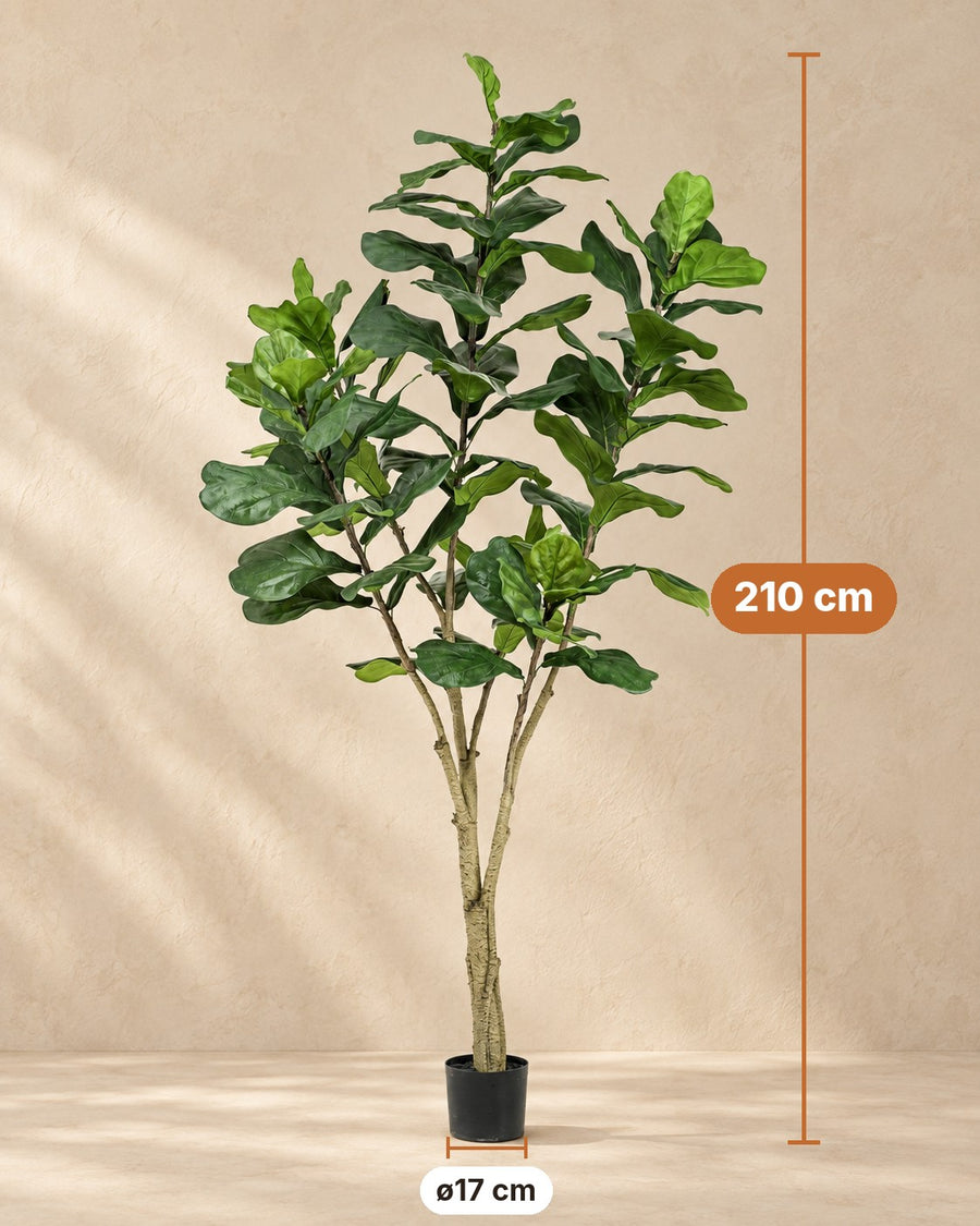 Kunstpflanze Ficus lyrata 210 cm