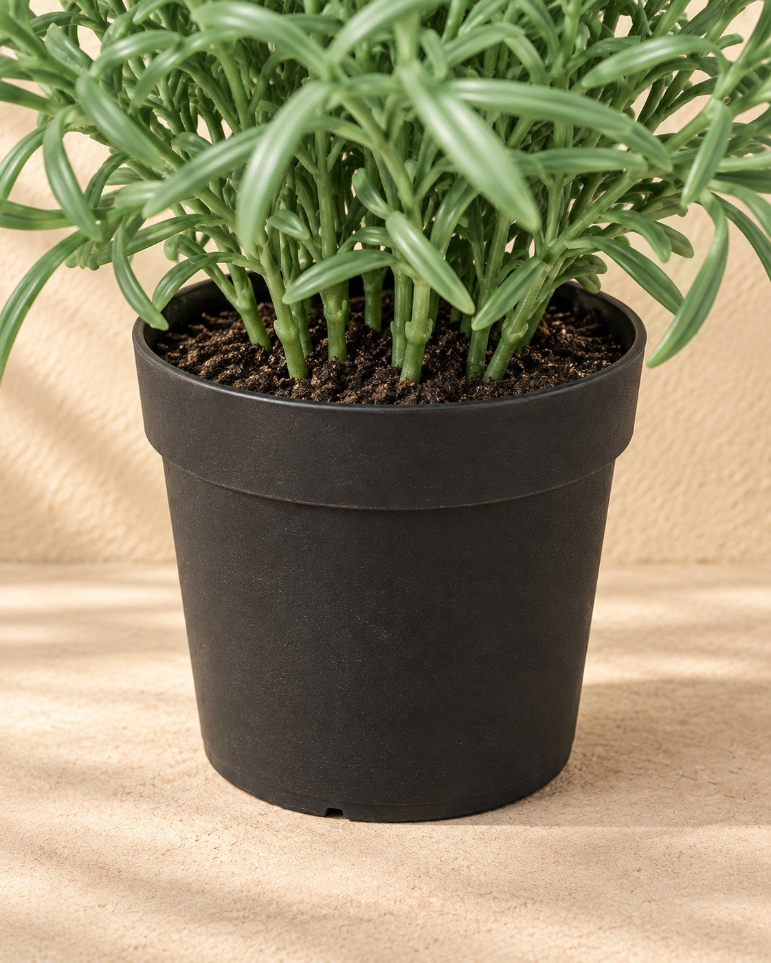 Partie basse de Plante artificielle Helichrysum Italicum avec son pot