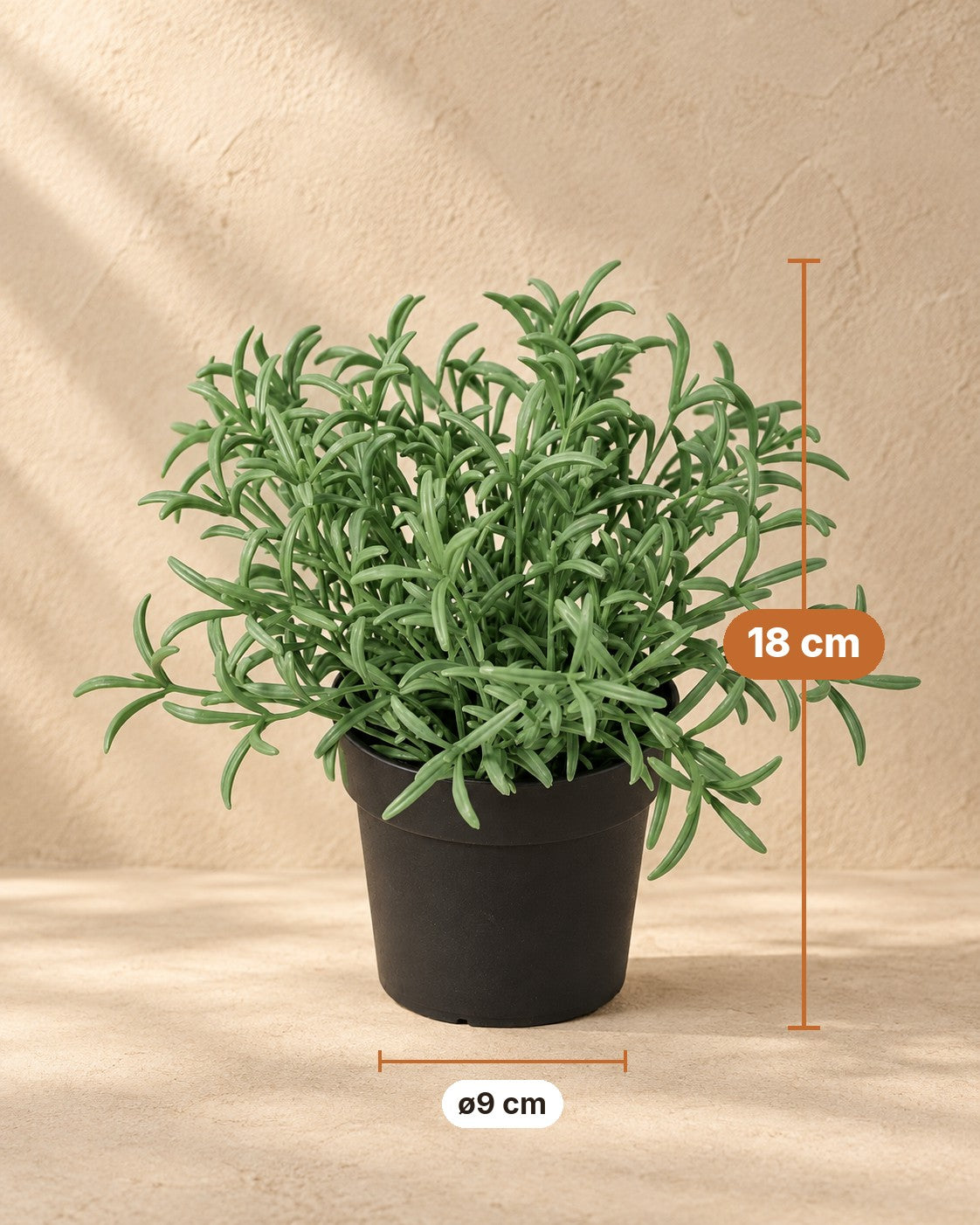 Dimensions Plante artificielle Helichrysum Italicum : 18 cm de haut, pot ø9 cm