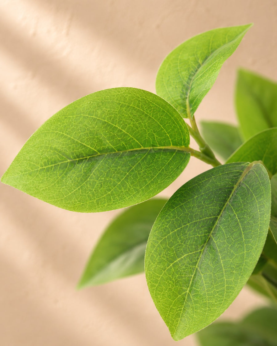 Artificial plant Hoya green 20cm - ø9
