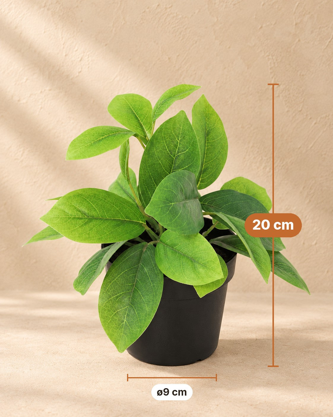 Dimensions of the Artificial plant Hoya green: 20 cm tall, pot ø9 cm