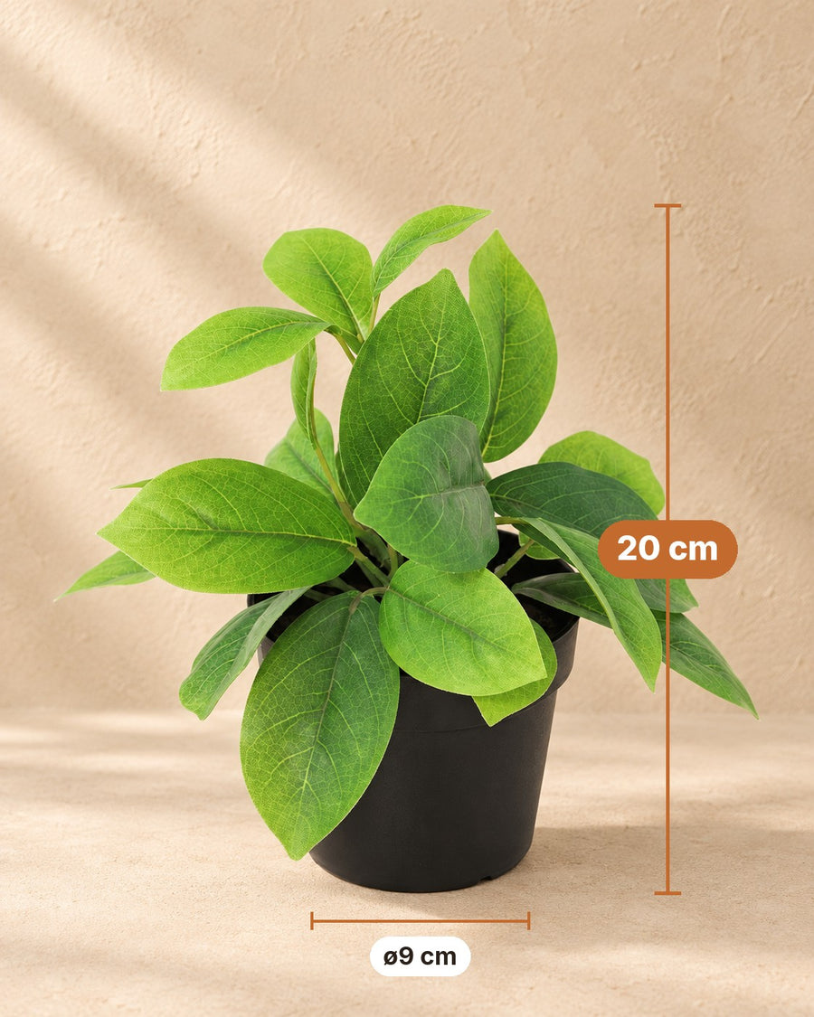Artificial plant Hoya green 20cm - ø9