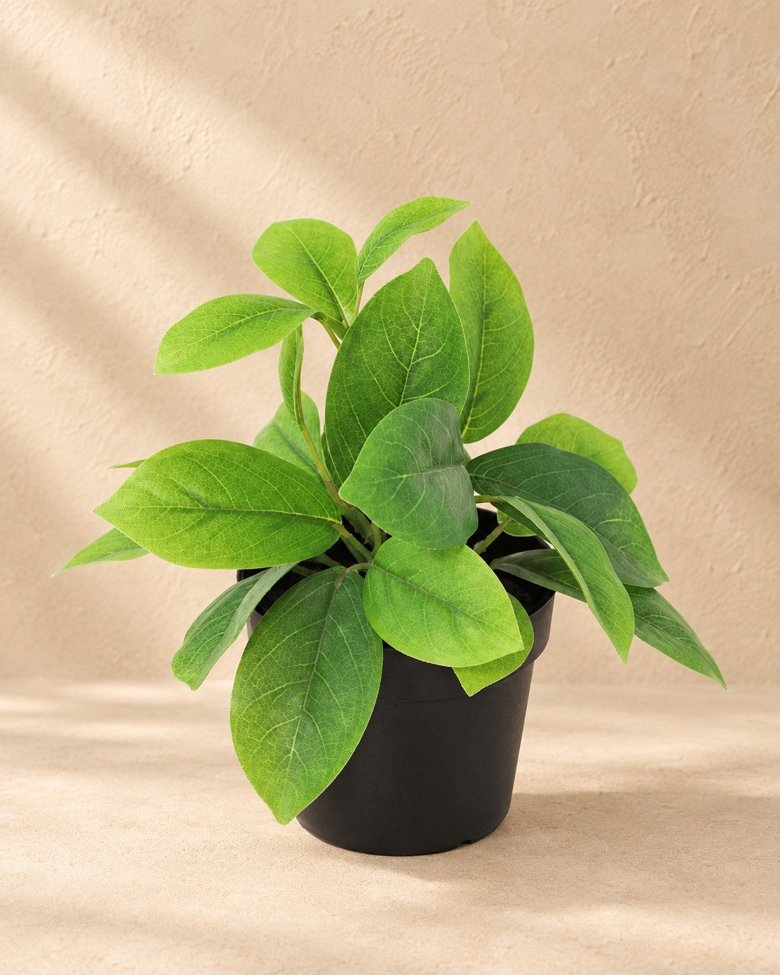 Kunstplant Hoya groen (Hoya sp.) van 20 cm hoog in pot van 9 cm