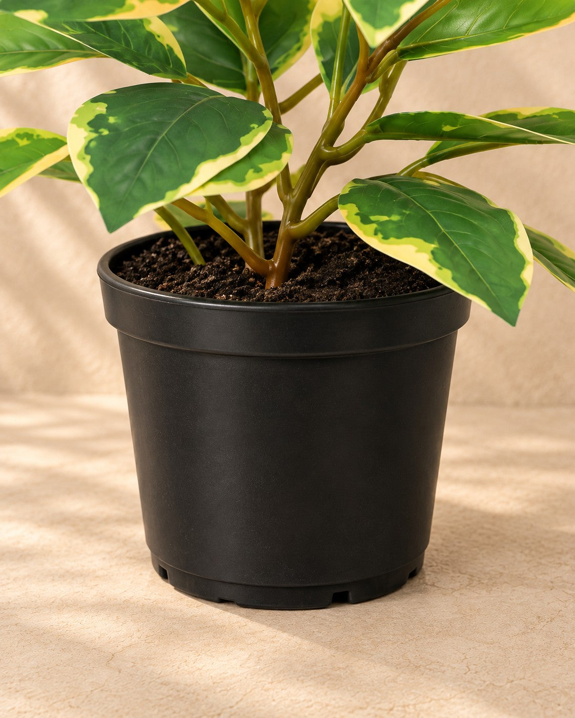Onderste deel van de Kunstplant Hoya Variegata (Hoya carnosa) met de pot
